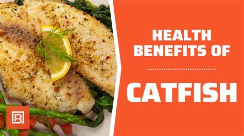 how healthy is chanel cat|channel catfish health benefits.